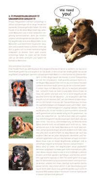 Hundehilfe Bakony_Newsletter_02-2021-8_neu_Seite_2